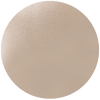 A smooth, circular, light beige disc with a subtle shimmer, set against a white background.